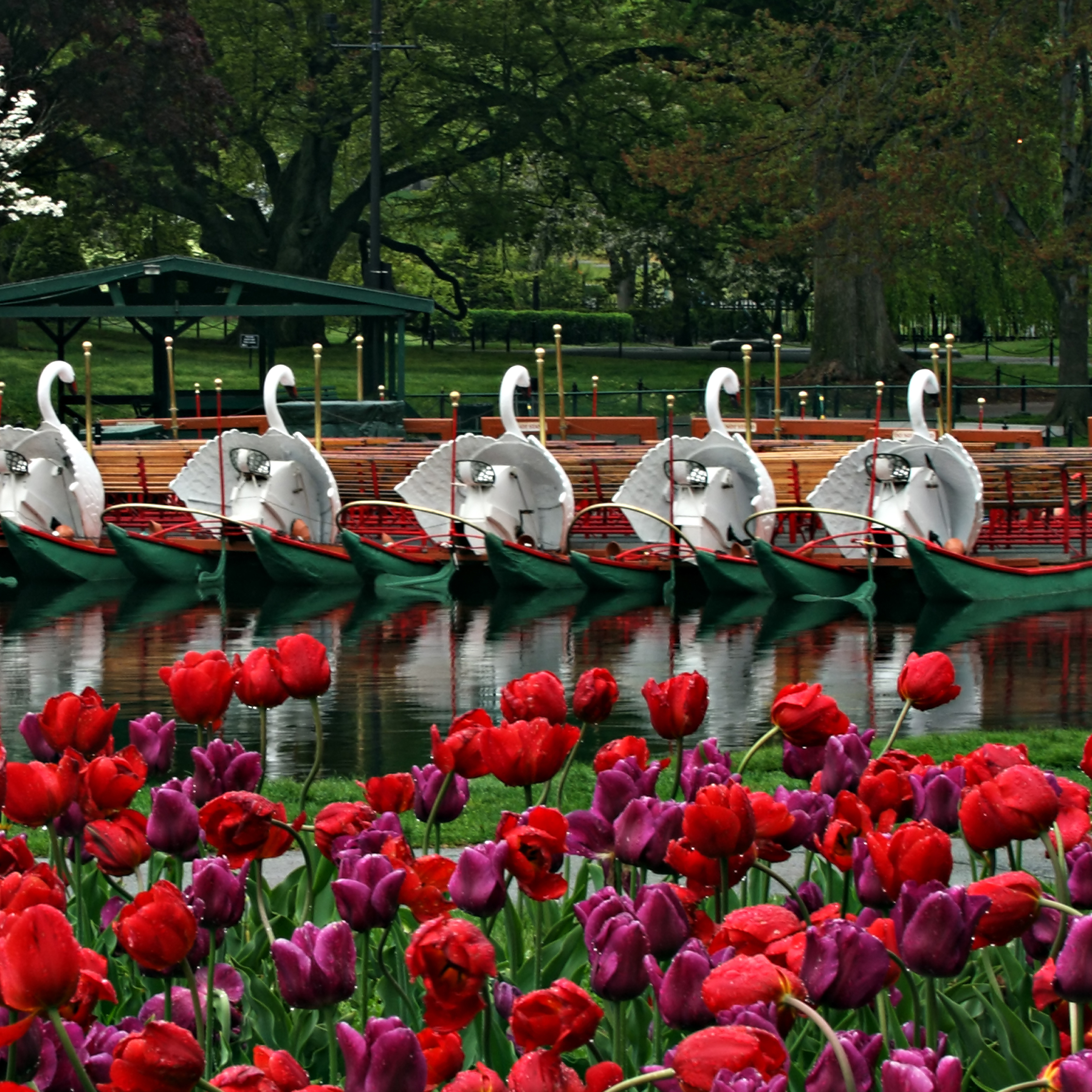 Spring Wellness: Staying Healthy & Mindful at NECO