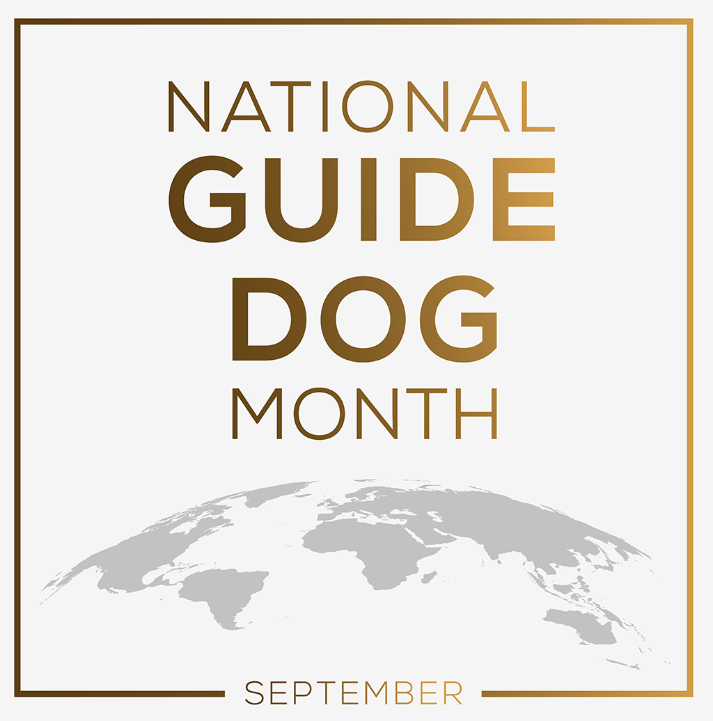 DEI&B Updates for September